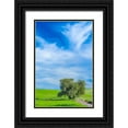 thumbnail image 1 of Gulin, Sylvia 11x14 Black Ornate Wood Framed with Double Matting Museum Art Print Titled - USA-Washington State-Palouse with wheat fields and lone Cottonwood tree, 1 of 4