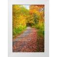 thumbnail image 1 of Gulin, Sylvia 11x14 White Modern Wood Framed Museum Art Print Titled - USA-New Hampshire-Franconia-one lane roadway with fallen Autumn leaves and lined with Fall colored, 1 of 4