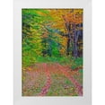 thumbnail image 1 of Gulin, Sylvia 11x14 White Modern Wood Framed Museum Art Print Titled - USA-New Hampshire-New England tracks into hardwood forest Autumn, 1 of 4