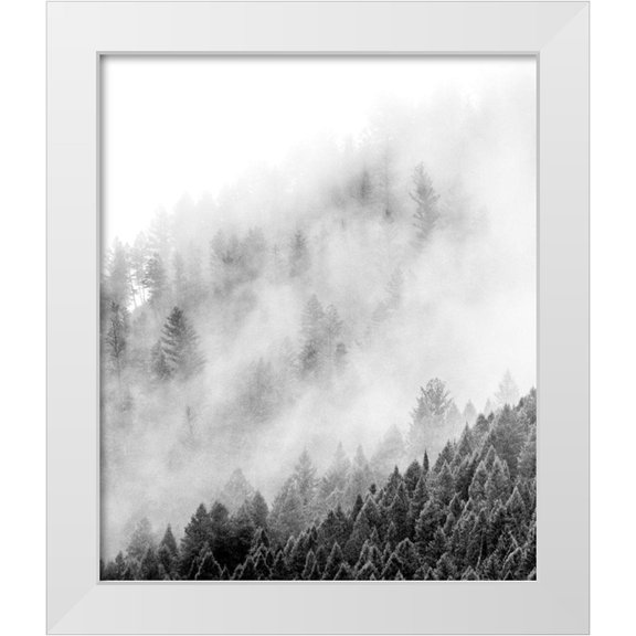 Gulin, Sylvia 12x14 White Modern Wood Framed Museum Art Print Titled - Wyoming-Hoback-clouds intermingling with evergreens on rainy morning in black and white