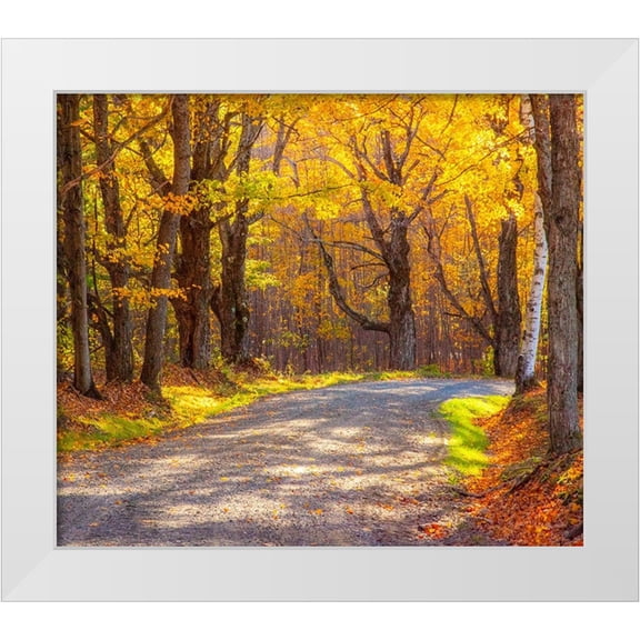 Gulin, Sylvia 13x12 White Modern Wood Framed Museum Art Print Titled - USA-New England-Vermont tree-lined gravel road with Sugar Maple in Autumn