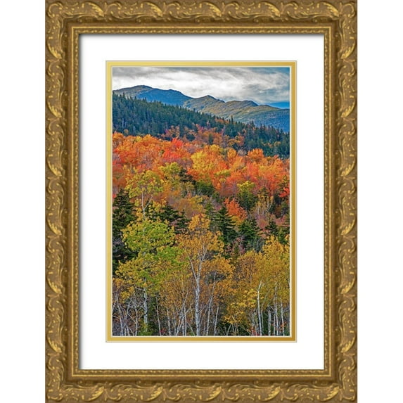Gulin, Sylvia 13x18 Gold Ornate Wood Framed with Double Matting Museum Art Print Titled - USA-New Hampshire-New England Fall colors on hillsides along highway 16 north of Jackson