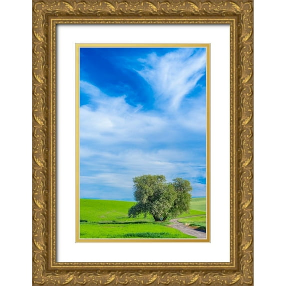 Gulin, Sylvia 13x18 Gold Ornate Wood Framed with Double Matting Museum Art Print Titled - USA-Washington State-Palouse with wheat fields and lone Cottonwood tree