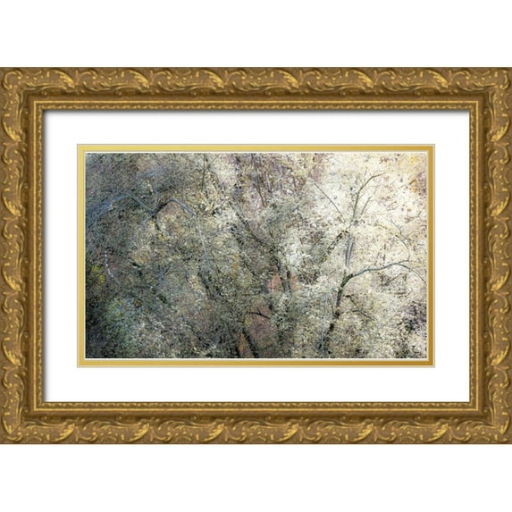 Gulin, Sylvia 14x10 Gold Ornate Wood Framed with Double Matting Museum Art Print Titled - USA-Washington State-Fall City wild cherry springtime blooming