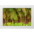 thumbnail image 1 of Gulin, Sylvia 14x10 White Modern Wood Framed Museum Art Print Titled - Hawaii-Maui-Kihei-Palm trees growing along wall, 1 of 4