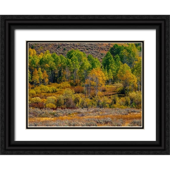 Gulin, Sylvia 14x11 Black Ornate Wood Framed with Double Matting Museum Art Print Titled - USA-Utah-east of Logan on highway 89 fall color Aspens near Logan Pass