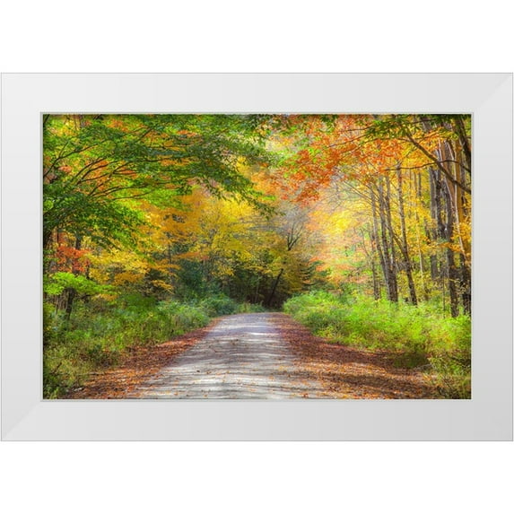 Gulin, Sylvia 14x11 White Modern Wood Framed Museum Art Print Titled - USA-New England-Maine-Wild River gravel road lined with Fall colored Birch and Maple trees