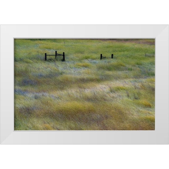 Gulin, Sylvia 14x11 White Modern Wood Framed Museum Art Print Titled - USA-Washington State-Palouse with wooden fence posts in grass field