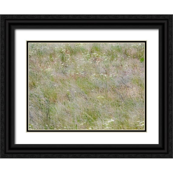 Gulin, Sylvia 14x12 Black Ornate Wood Framed with Double Matting Museum Art Print Titled - USA-Washington State-Benge Dried grass seed heads
