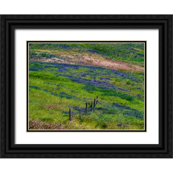 Gulin, Sylvia 14x12 Black Ornate Wood Framed with Double Matting Museum Art Print Titled - USA-Washington State-Palouse with hillside of vetch