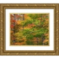 thumbnail image 1 of Gulin, Sylvia 14x12 Gold Ornate Wood Framed with Double Matting Museum Art Print Titled - USA-New Hampshire-Franconia hardwood forest of maple trees in Autumn, 1 of 4