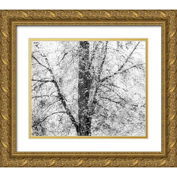 Gulin, Sylvia 14x12 Gold Ornate Wood Framed with Double Matting Museum Art Print Titled - USA-Washington State-Fall City wild cherry springtime blooming