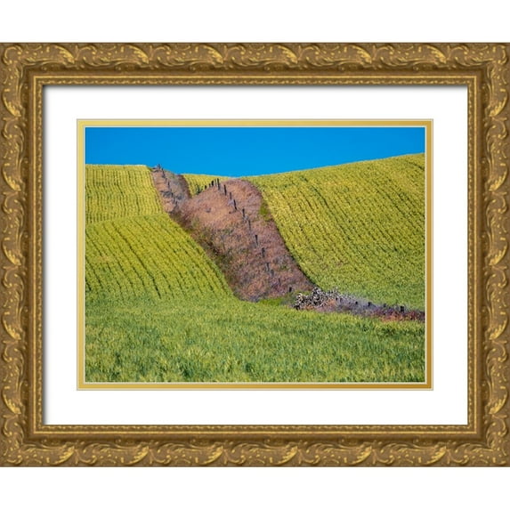 Gulin, Sylvia 14x12 Gold Ornate Wood Framed with Double Matting Museum Art Print Titled - USA-Washington State-Winona winter wheat with fence line running through middle of field