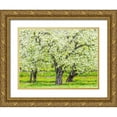 thumbnail image 1 of Gulin, Sylvia 14x12 Gold Ornate Wood Framed with Double Matting Museum Art Print Titled - Oregon-Hood River-spring blooming apple tree orchard, 1 of 4