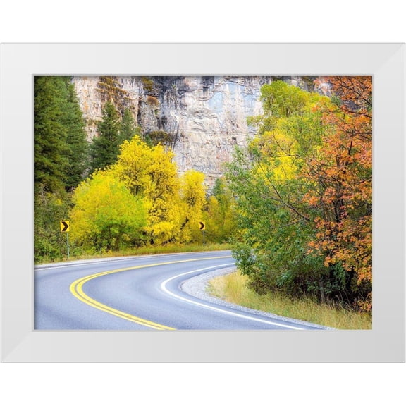 Gulin, Sylvia 14x12 White Modern Wood Framed Museum Art Print Titled - Utah-Logan Pass and highway 89 fall color with Aspen and Maple Trees