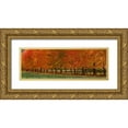 thumbnail image 1 of Gulin, Sylvia 14x7 Gold Ornate Wood Framed with Double Matting Museum Art Print Titled - USA-Washington State-North Bend fence and tree lined driveway in fall colors, 1 of 4