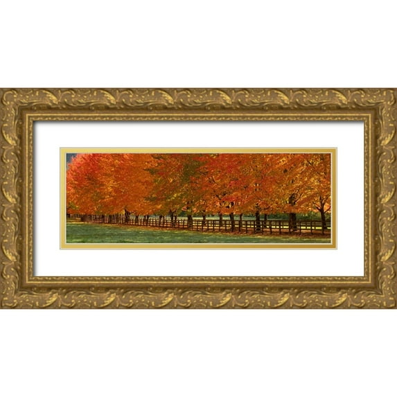 Gulin, Sylvia 14x7 Gold Ornate Wood Framed with Double Matting Museum Art Print Titled - USA-Washington State-North Bend fence and tree lined driveway in fall colors