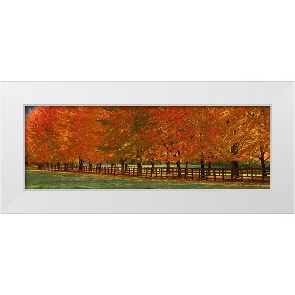 Gulin, Sylvia 14x7 White Modern Wood Framed Museum Art Print Titled - USA-Washington State-North Bend fence and tree lined driveway in fall colors