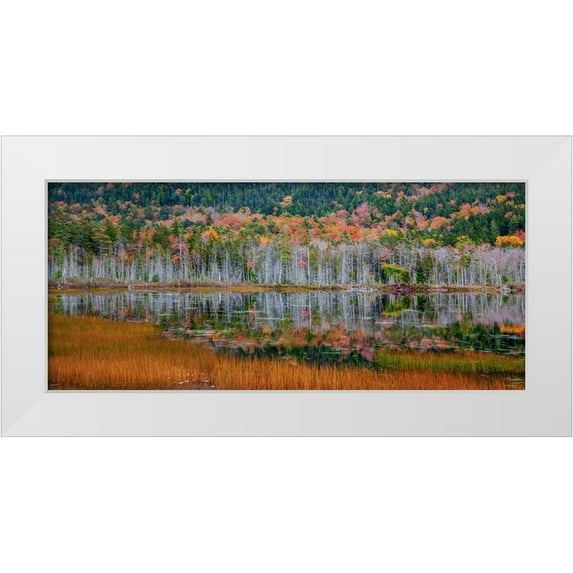 Gulin, Sylvia 14x8 White Modern Wood Framed Museum Art Print Titled - USA-New England-Maine-Mt-Desert Island-Acadia National Park with small lake with hillsides in Autum