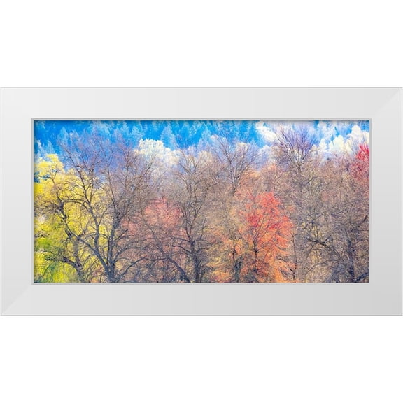 Gulin, Sylvia 14x9 White Modern Wood Framed Museum Art Print Titled - USA-Washington State-Fall City-Pacific Northwest early spring cottonwood