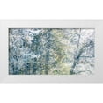thumbnail image 1 of Gulin, Sylvia 14x9 White Modern Wood Framed Museum Art Print Titled - USA-Washington State-Fall City wild cherry springtime blooming, 1 of 4
