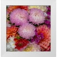 thumbnail image 1 of Gulin, Sylvia 15x15 White Modern Wood Framed Museum Art Print Titled - USA-Washington State-Pacific Northwest Sammamish Dahlia flowers in bloom, 1 of 4