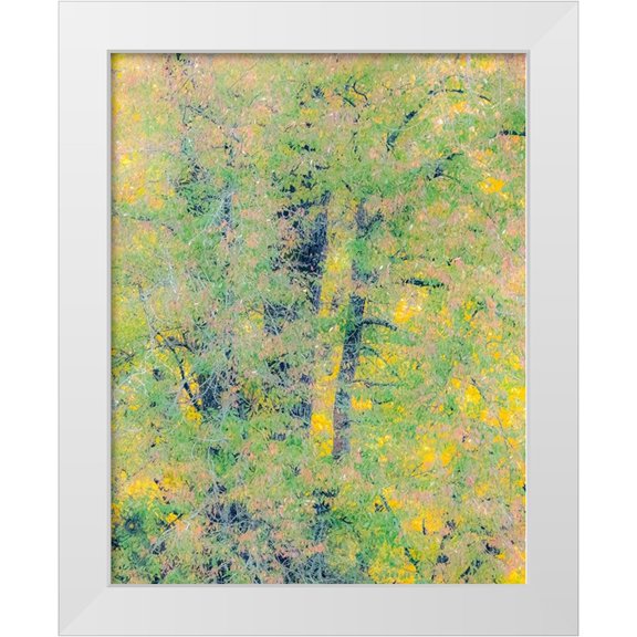 Gulin, Sylvia 15x18 White Modern Wood Framed Museum Art Print Titled - USA-Washington State-Preston-Cottonwoods trees in fall colors