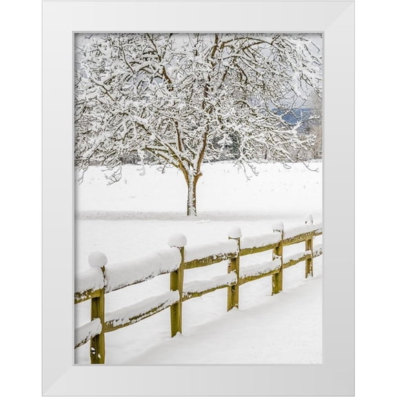 Gulin, Sylvia 15x18 White Modern Wood Framed Museum Art Print Titled - Washington State-Fall City-fresh snow on trees and fence