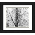 thumbnail image 1 of Gulin, Sylvia 17x15 Black Ornate Wood Framed with Double Matting Museum Art Print Titled - USA-Washington State-Fall City wild cherry springtime blooming, 1 of 4