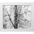 thumbnail image 1 of Gulin, Sylvia 17x15 White Modern Wood Framed Museum Art Print Titled - USA-Washington State-Fall City wild cherry springtime blooming, 1 of 4