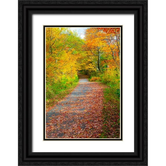 Gulin, Sylvia 17x24 Black Ornate Wood Framed with Double Matting Museum Art Print Titled - USA-New Hampshire-Franconia-one lane roadway with fallen Autumn leaves and lined with Fall colored