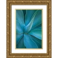thumbnail image 1 of Gulin, Sylvia 17x24 Gold Ornate Wood Framed with Double Matting Museum Art Print Titled - Hawaii-Maui-Kula-agave plant design, 1 of 4