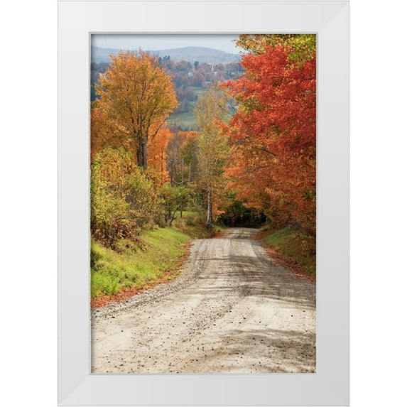 Gulin, Sylvia 17x24 White Modern Wood Framed Museum Art Print Titled - USA-New England-Vermont tree-lined roadway in Autumns Fall colors