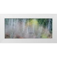 thumbnail image 1 of Gulin, Sylvia 18x10 White Modern Wood Framed Museum Art Print Titled - USA-Washington State-Sammamish springtime and alder and willow trees in early spring pano, 1 of 4