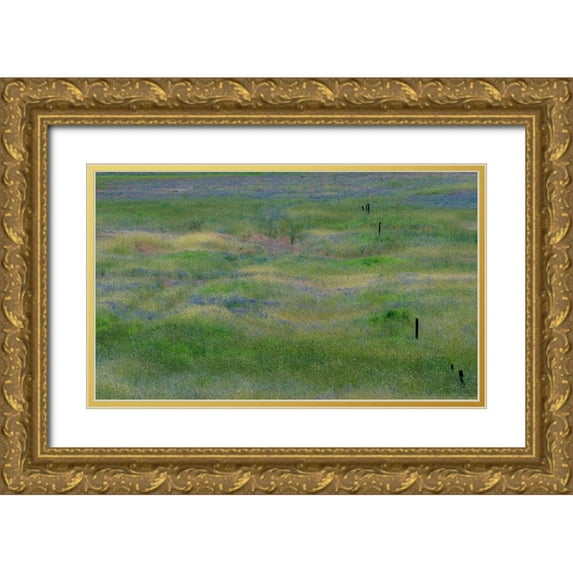 Gulin, Sylvia 18x12 Gold Ornate Wood Framed with Double Matting Museum Art Print Titled - USA-Washington State-Benge Purple vetch in field