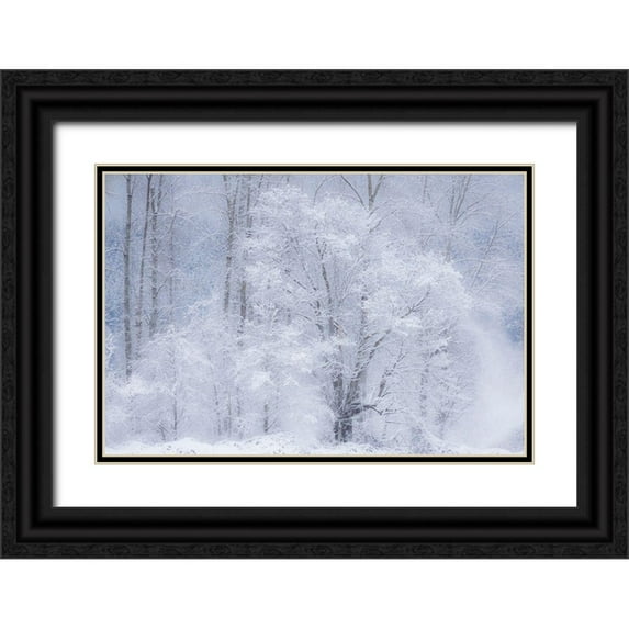 Gulin, Sylvia 18x13 Black Ornate Wood Framed with Double Matting Museum Art Print Titled - Washington State-Fall City valley with fresh snows on Cottonwoods
