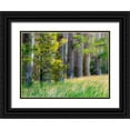thumbnail image 1 of Gulin, Sylvia 18x14 Black Ornate Wood Framed with Double Matting Museum Art Print Titled - USA-Washington State-Othello grove of trees along Highway 26, 1 of 4