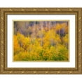 thumbnail image 1 of Gulin, Sylvia 18x14 Gold Ornate Wood Framed with Double Matting Museum Art Print Titled - USA-Idaho-Highway 36 west of Liberty and hillsides covered with Aspens in autumn, 1 of 4