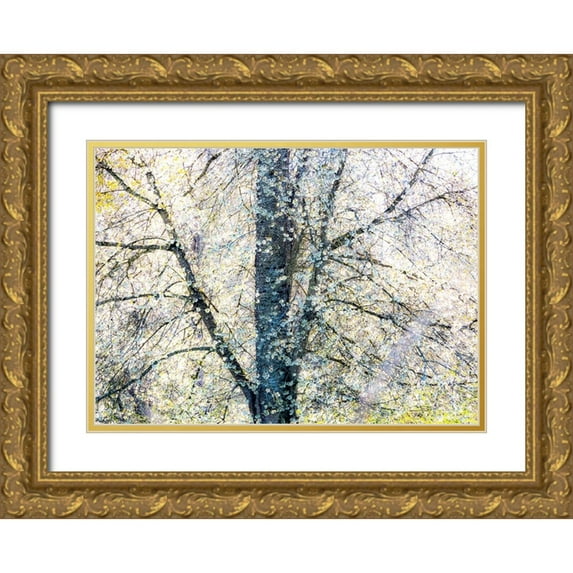 Gulin, Sylvia 18x14 Gold Ornate Wood Framed with Double Matting Museum Art Print Titled - USA-Washington State-Fall City wild cherry springtime blooming