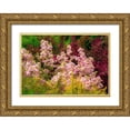 thumbnail image 1 of Gulin, Sylvia 18x14 Gold Ornate Wood Framed with Double Matting Museum Art Print Titled - USA-Washington State-Pacific Northwest-Bellevue and the Bellevue Botanical Gardens springtime, 1 of 4