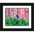 thumbnail image 1 of Gulin, Sylvia 18x15 Black Ornate Wood Framed with Double Matting Museum Art Print Titled - USA-Washington State-Kamiak Butte-Palouse Bearded Iris along side a wooden barn, 1 of 4