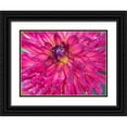 thumbnail image 1 of Gulin, Sylvia 18x15 Black Ornate Wood Framed with Double Matting Museum Art Print Titled - Oregon-Canby-Swam Island Dahlias-Dahlia flower close-ups, 1 of 4