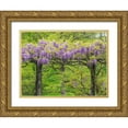 thumbnail image 1 of Gulin, Sylvia 18x15 Gold Ornate Wood Framed with Double Matting Museum Art Print Titled - Pennsylvania-Wayne and Chanticleer Gardens springtime flowering Wisteria vine, 1 of 4
