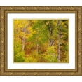 thumbnail image 1 of Gulin, Sylvia 18x15 Gold Ornate Wood Framed with Double Matting Museum Art Print Titled - USA-Idaho-Highway 36 west of Liberty and hillsides covered with Aspens in autumn, 1 of 4