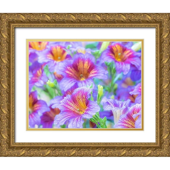 Gulin, Sylvia 18x15 Gold Ornate Wood Framed with Double Matting Museum Art Print Titled - Washington State-Sammamish-Painted tongue flowering during the summer months design and pattern
