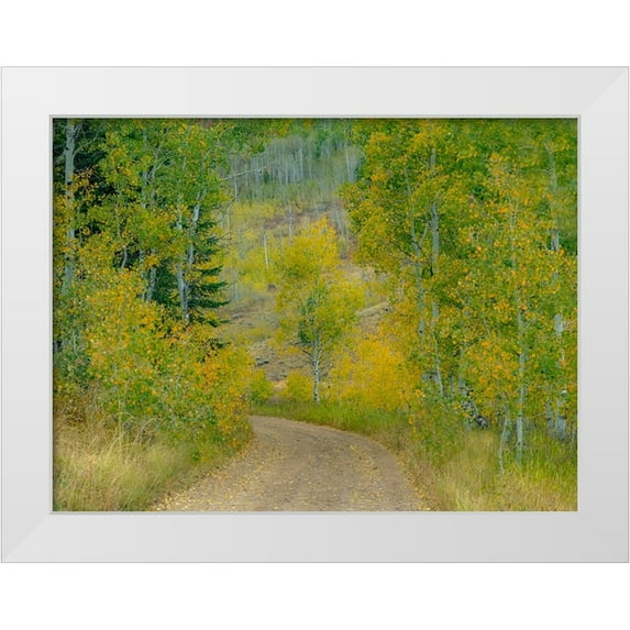 Gulin, Sylvia 18x15 White Modern Wood Framed Museum Art Print Titled - USA-Idaho-Highway 36 west of Liberty dirt road and Aspens in autumn