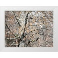 thumbnail image 1 of Gulin, Sylvia 18x15 White Modern Wood Framed Museum Art Print Titled - USA-Washington State-Carnation-Pacific Northwest early spring Alder Trees, 1 of 4