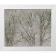 thumbnail image 1 of Gulin, Sylvia 18x15 White Modern Wood Framed Museum Art Print Titled - USA-Washington State-Fall City soft focus springtime Big Leaf Maple trees, 1 of 4