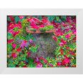 thumbnail image 1 of Gulin, Sylvia 18x15 White Modern Wood Framed Museum Art Print Titled - USA-Washington State-Pacific Northwest-Sammamish and red Japanese Maple leaves fallen around pot, 1 of 4
