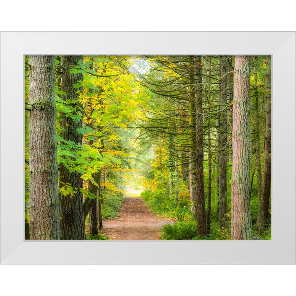 Gulin, Sylvia 18x15 White Modern Wood Framed Museum Art Print Titled ...